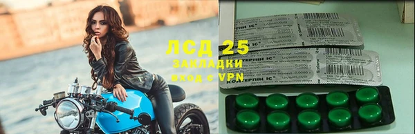 СК Аркадак