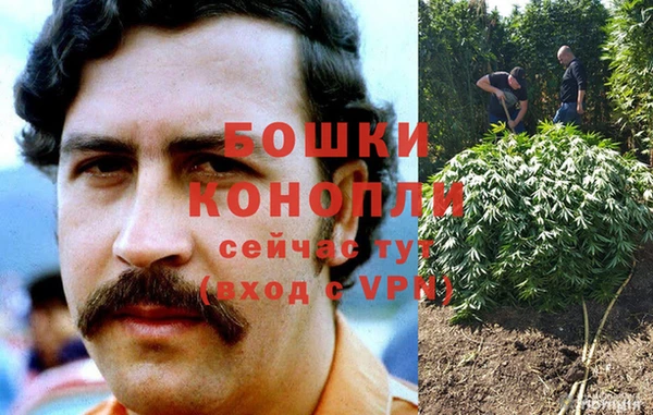 СК Аркадак
