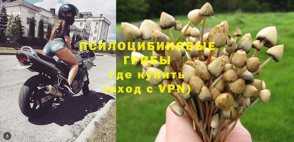 СК Аркадак