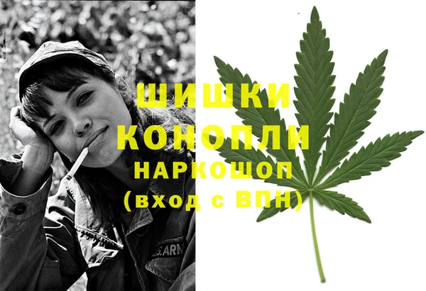 дживик Арсеньев