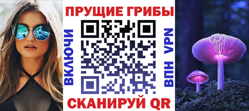 Купить  Сураж  Псилоцибиновые грибы Psilocybe 