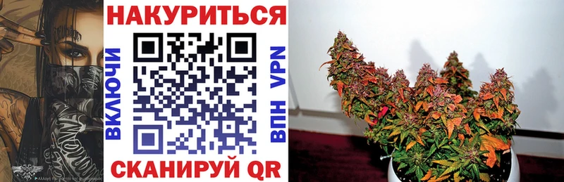 Купить закладки  Сураж  Канабис гибрид 